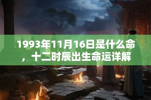 1993年11月16日是什么命，十二时辰出生命运详解