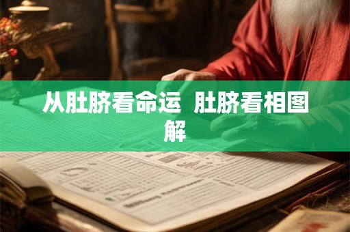 从肚脐看命运  肚脐看相图解