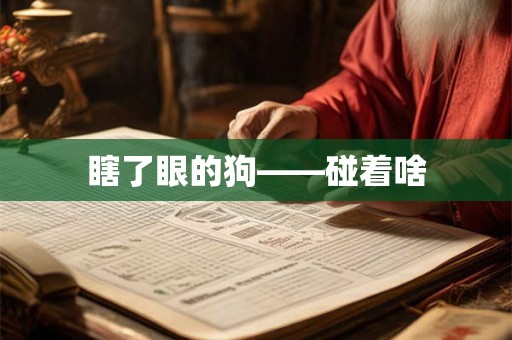 瞎了眼的狗——碰着啥