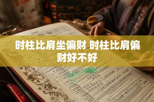 时柱比肩坐偏财 时柱比肩偏财好不好