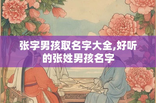 张字男孩取名字大全,好听的张姓男孩名字