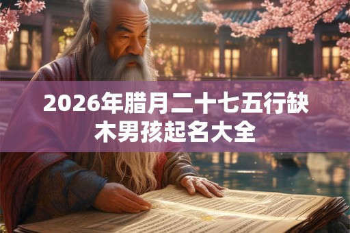 2026年腊月二十七五行缺木男孩起名大全