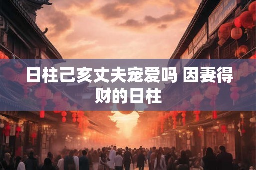 日柱己亥丈夫宠爱吗 因妻得财的日柱