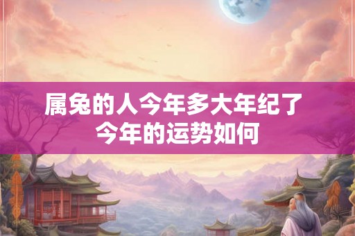属兔的人今年多大年纪了 今年的运势如何