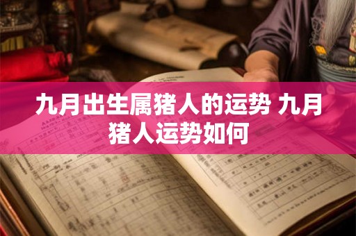 九月出生属猪人的运势 九月猪人运势如何