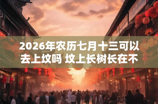 2026年农历七月十三可以去上坟吗 坟上长树长在不同地方寓意不同