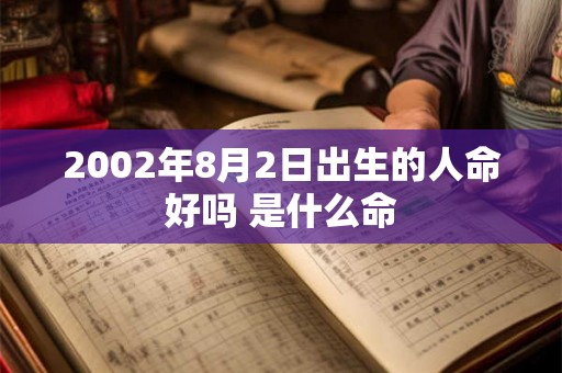 2002年8月2日出生的人命好吗 是什么命