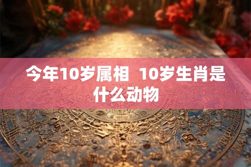 今年10岁属相  10岁生肖是什么动物