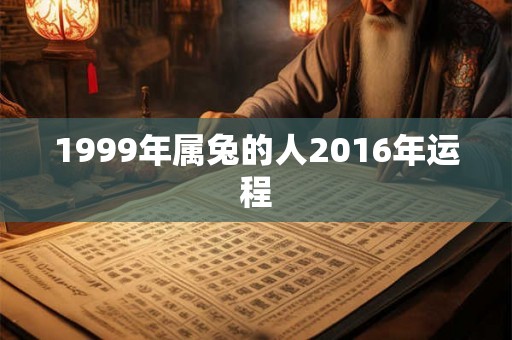 1999年属兔的人2016年运程