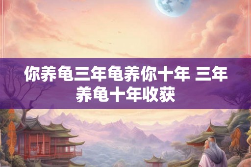 你养龟三年龟养你十年 三年养龟十年收获