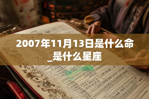 2007年11月13日是什么命_是什么星座