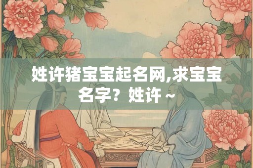 姓许猪宝宝起名网,求宝宝名字？姓许～