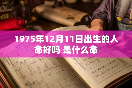 1975年12月11日出生的人命好吗 是什么命