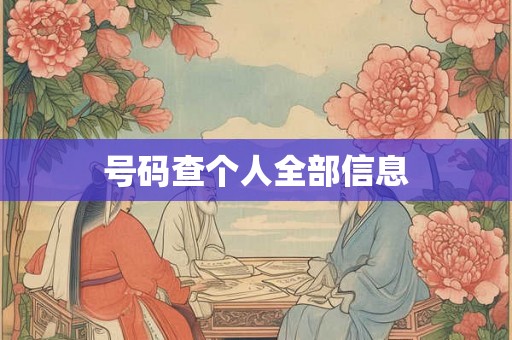 号码查个人全部信息