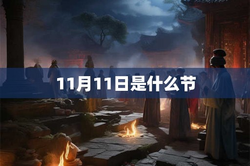 11月11日是什么节