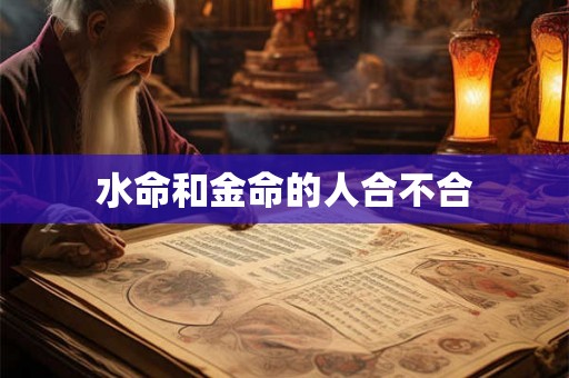 水命和金命的人合不合