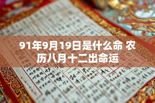 91年9月19日是什么命 农历八月十二出命运