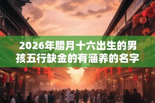 2026年腊月十六出生的男孩五行缺金的有涵养的名字推荐