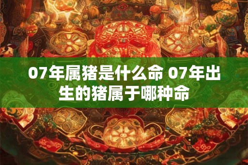 07年属猪是什么命 07年出生的猪属于哪种命