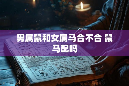 男属鼠和女属马合不合 鼠马配吗
