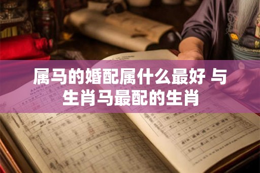 属马的婚配属什么最好 与生肖马最配的生肖