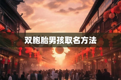 双胞胎男孩取名方法