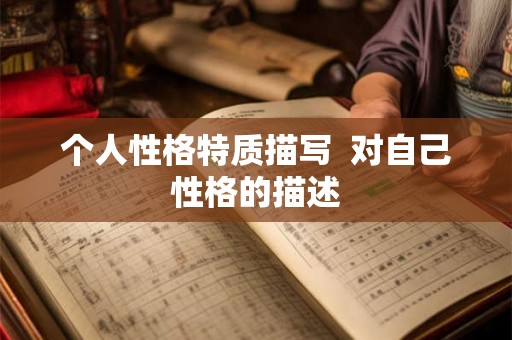 个人性格特质描写  对自己性格的描述