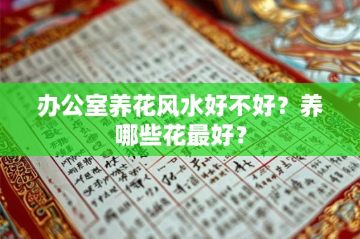 办公室养花风水好不好？养哪些花最好？
