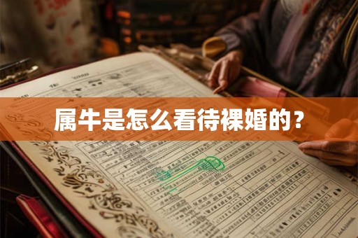 属牛是怎么看待裸婚的？