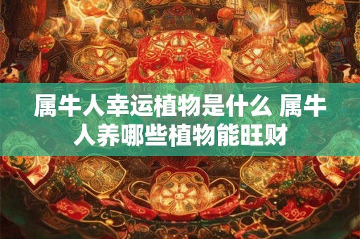 属牛人幸运植物是什么 属牛人养哪些植物能旺财