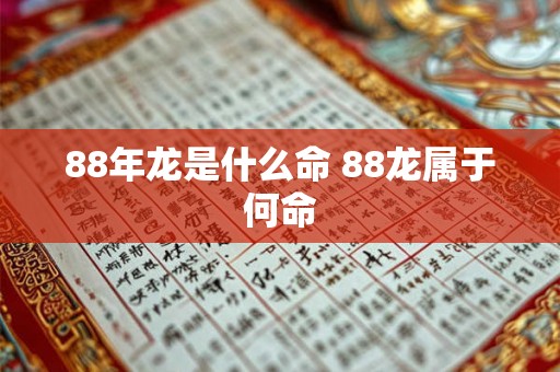 88年龙是什么命 88龙属于何命