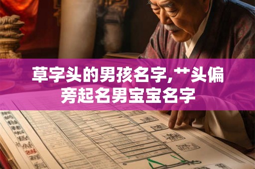 草字头的男孩名字,艹头偏旁起名男宝宝名字