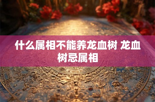 什么属相不能养龙血树 龙血树忌属相