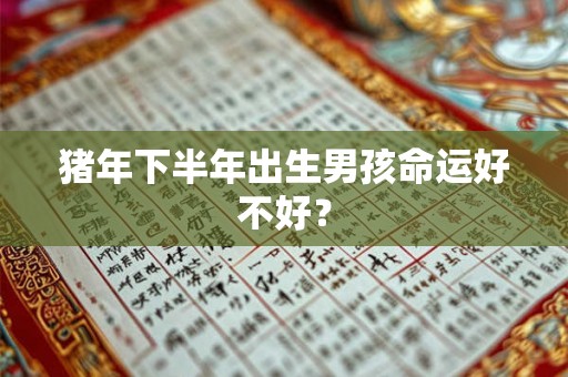 猪年下半年出生男孩命运好不好？