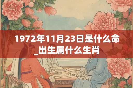 1972年11月23日是什么命_出生属什么生肖
