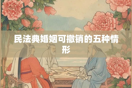 民法典婚姻可撤销的五种情形