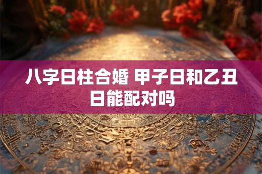 八字日柱合婚 甲子日和乙丑日能配对吗