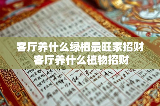 客厅养什么绿植最旺家招财 客厅养什么植物招财