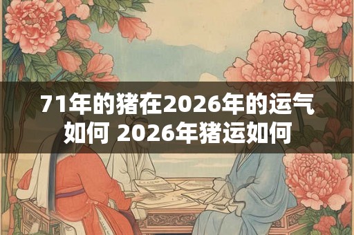 71年的猪在2026年的运气如何 2026年猪运如何