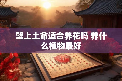 壁上土命适合养花吗 养什么植物最好