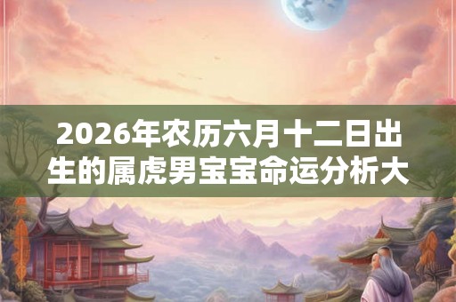 2026年农历六月十二日出生的属虎男宝宝命运分析大全