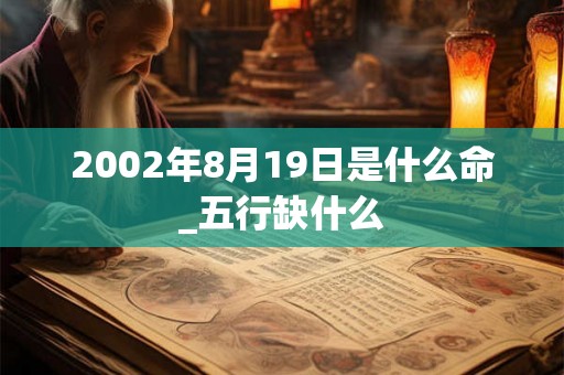 2002年8月19日是什么命_五行缺什么