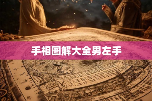 手相图解大全男左手