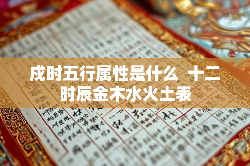 戍时五行属性是什么  十二时辰金木水火土表