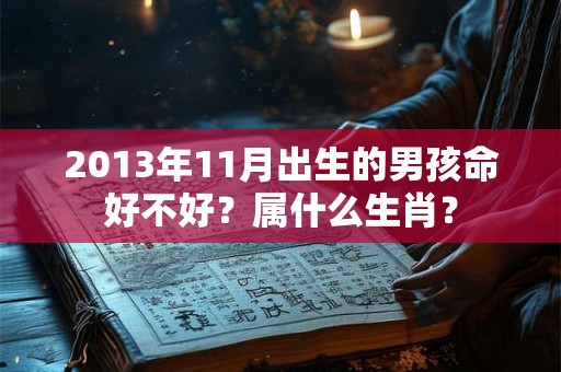 2013年11月出生的男孩命好不好？属什么生肖？
