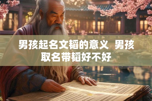 男孩起名文韬的意义  男孩取名带韬好不好