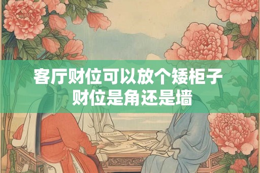 客厅财位可以放个矮柜子  财位是角还是墙