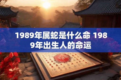 1989年属蛇是什么命 1989年出生人的命运