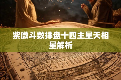 紫微斗数排盘十四主星天相星解析