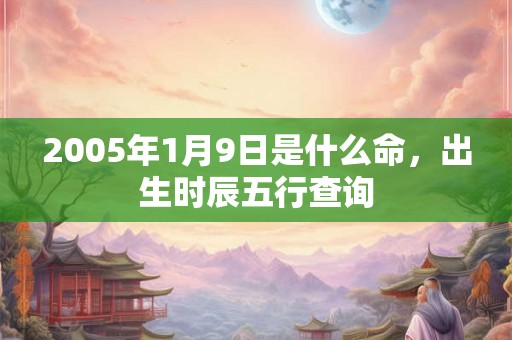 2005年1月9日是什么命，出生时辰五行查询